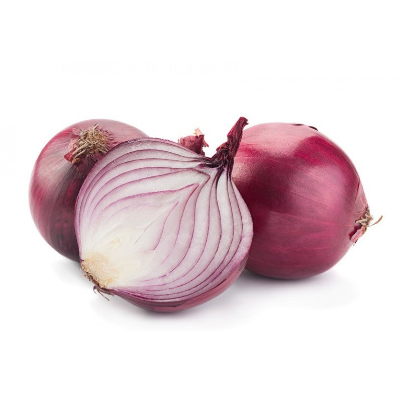 Cebula czerwona
